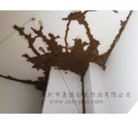 施工案例