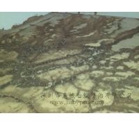 學校的體育室白蟻