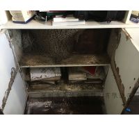 框子內白蟻